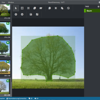 Oberfläche der Software VOTT von Microsoft zu Objektmarkierung (Tagging) in Bildern.
