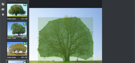 Oberfläche der Software VOTT von Microsoft zu Objektmarkierung (Tagging) in Bildern.