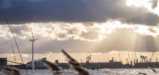 Windkraftanlage im Stadthafen Rostock