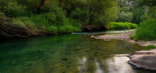 Naturlandschaft mit Fluss und Sonnenuntergang