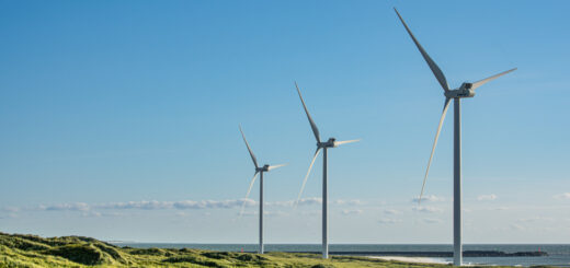Nearshore-Windpark in Havide Sande Dänemark