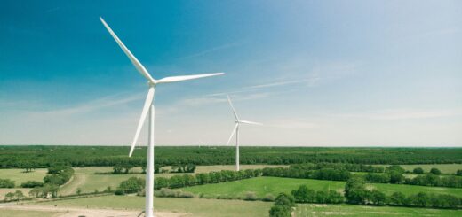 Windkraftanlage bei Tageslicht – Symbol für erneuerbare Energien