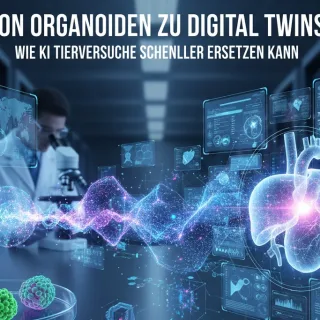 Von Organoiden zu Digital Twins: Wie KI Tierversuche schneller ersetzen kann