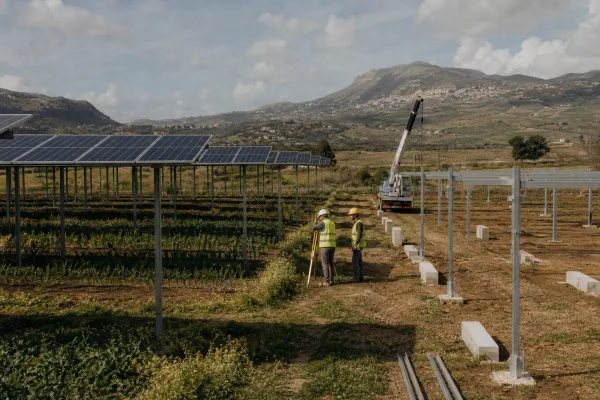 234 Millionen Euro für Agrivoltaik: Was beim 225-MW-Projekt auf Sizilien jetzt ansteht