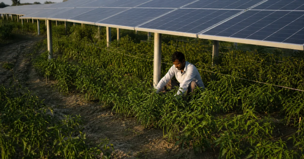 Mehr Solarstrom ohne neues Ackerland? Was Bangladeschs 49,6-kWp-Pilot jetzt prüfen soll