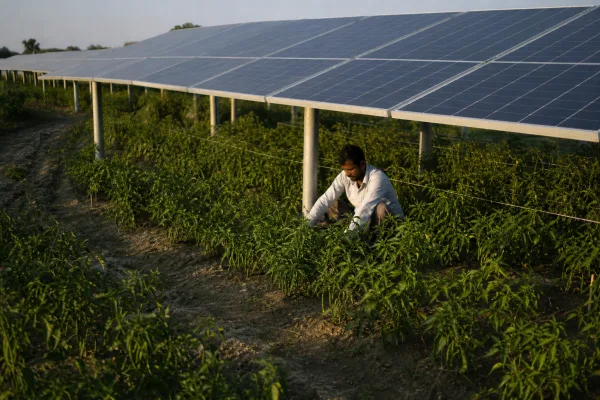 Mehr Solarstrom ohne neues Ackerland? Was Bangladeschs 49,6-kWp-Pilot jetzt prüfen soll