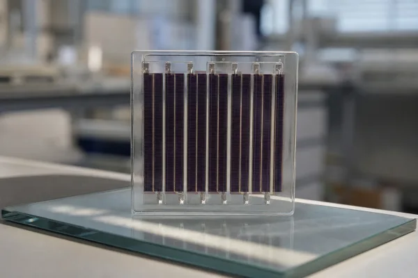 Solarmodule mit Durchblick: Was 43,2 Prozent Transparenz bei organischer PV wirklich ändern