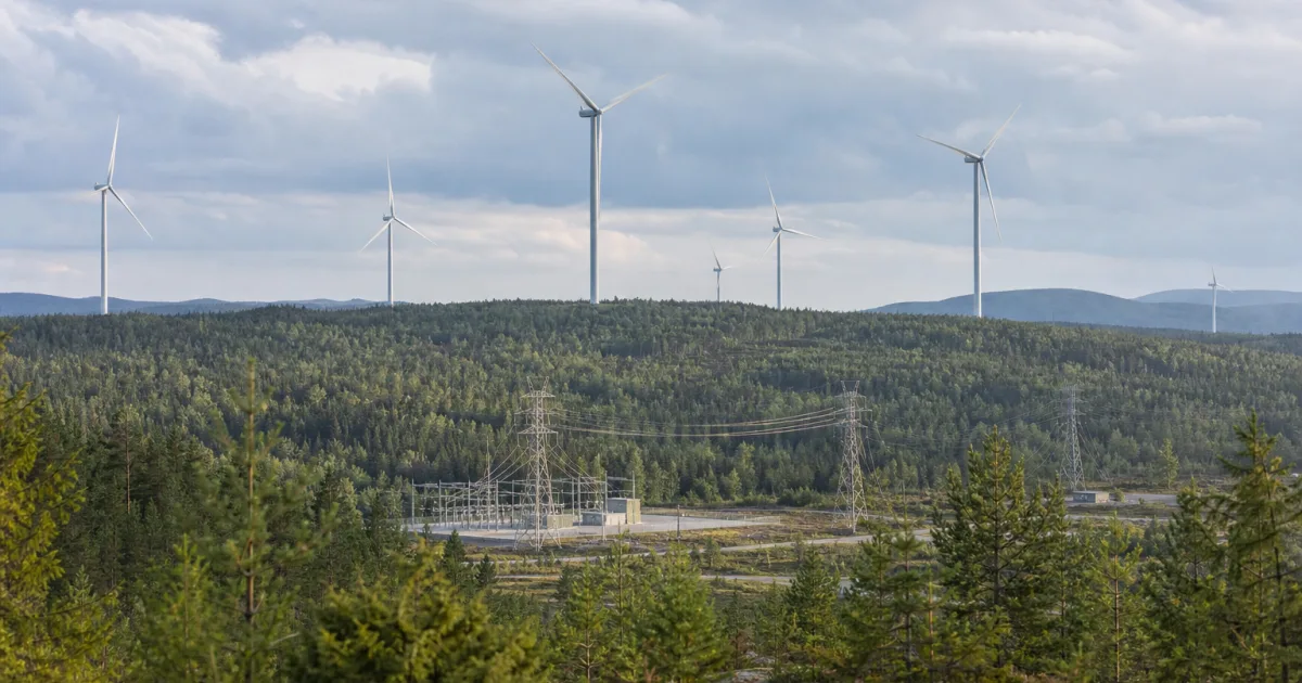 Amazon bündelt fast 200 MW Windstrom in Schweden – drei Parks laufen schon