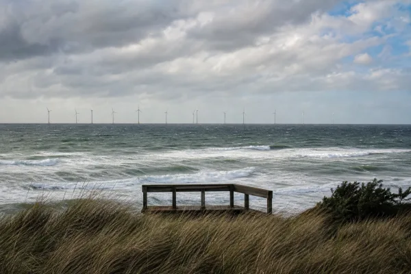 Dänemark vergibt mindestens 1,8 GW Offshore-Wind – warum diesmal wieder Gebote kamen
