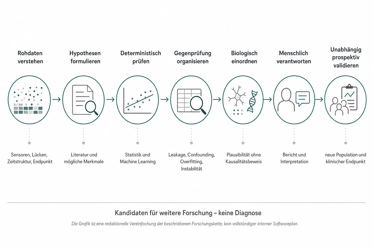Originalgrafik zeigt die Forschungskette von Rohdaten über Hypothesen, Prüfung und Gegenprüfung bis zur unabhängigen prospektiven Validierung