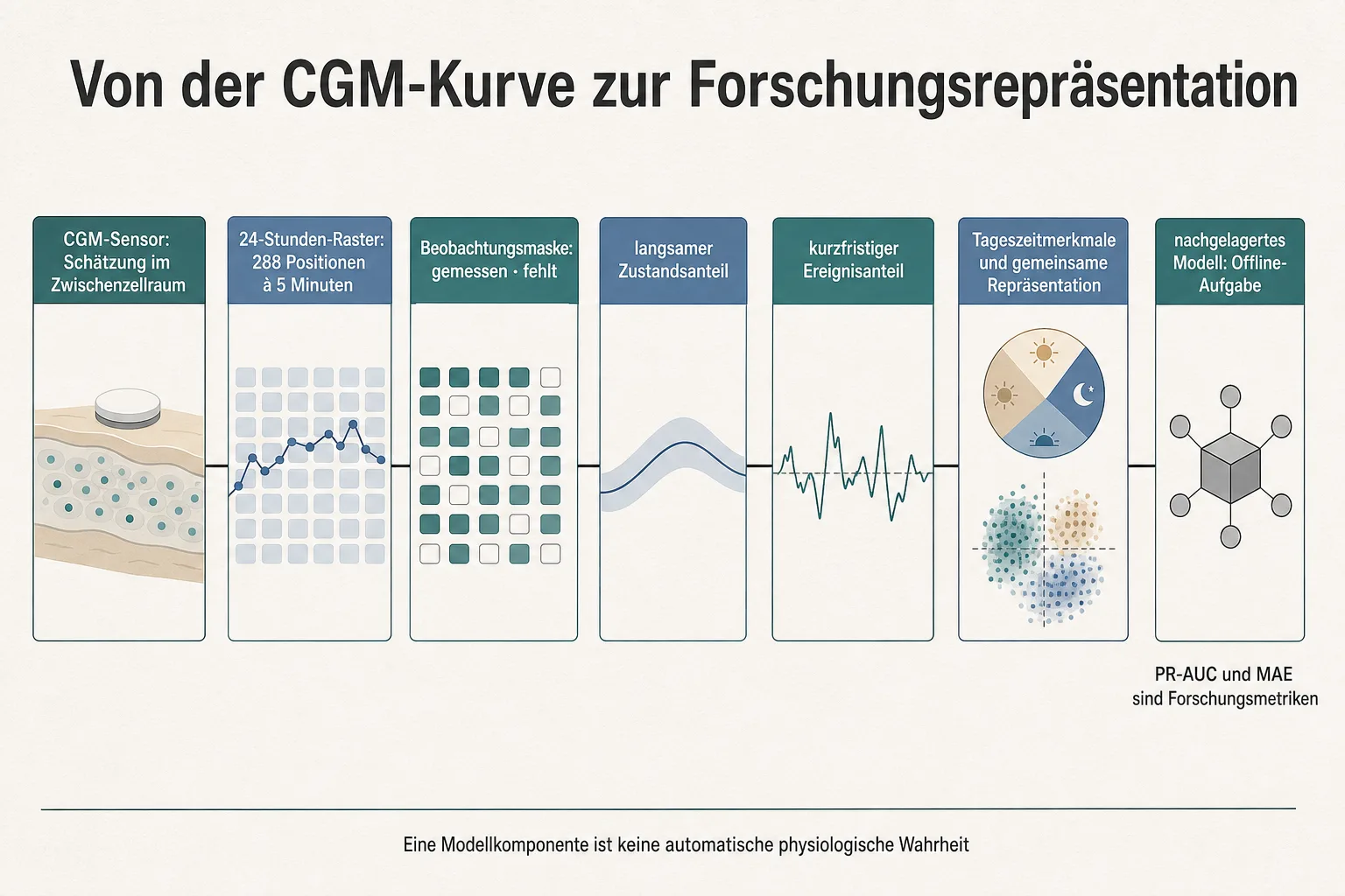 Ablaufgrafik zeigt CGM-Sensor, 24-Stunden-Raster, Beobachtungsmaske, zwei Signalanteile und Offline-Auswertung