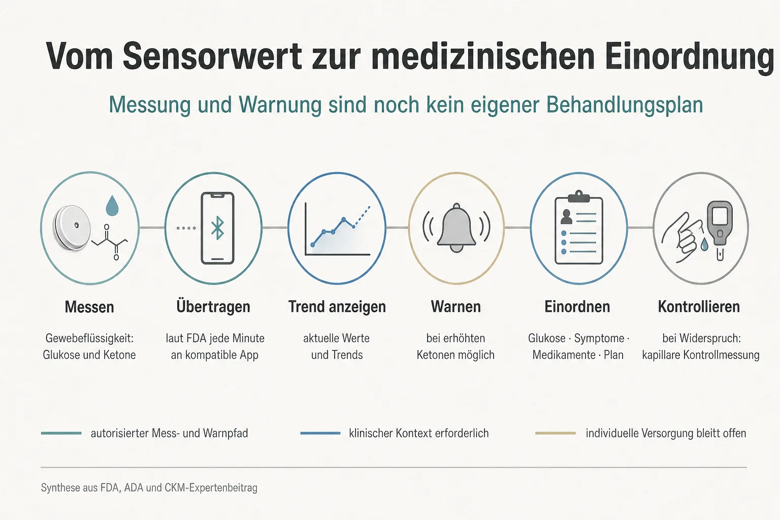 Originalgrafik zeigt die sechs Schritte von Messung und Übertragung bis Einordnung und Kontrollmessung