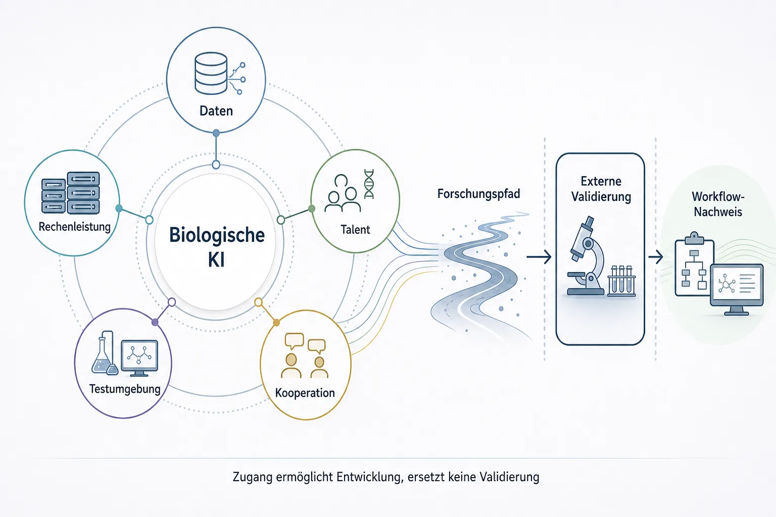 Netzwerkgrafik zu Daten Rechenleistung Talent Testumgebung und Kooperation für biologische KI
