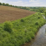 Wie Satellitenbilder den Schutz am Kraichbach sichtbar machen