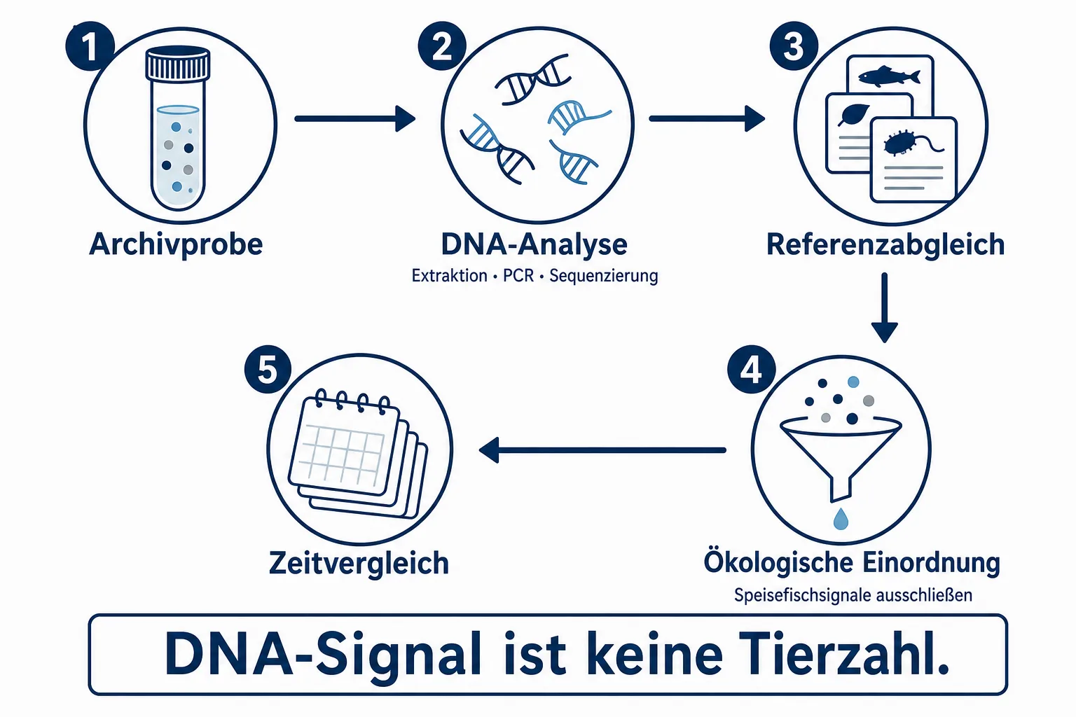 Schematischer Ablauf von Archivprobe über DNA-Analyse, Referenzabgleich und ökologische Einordnung zum Zeitvergleich.