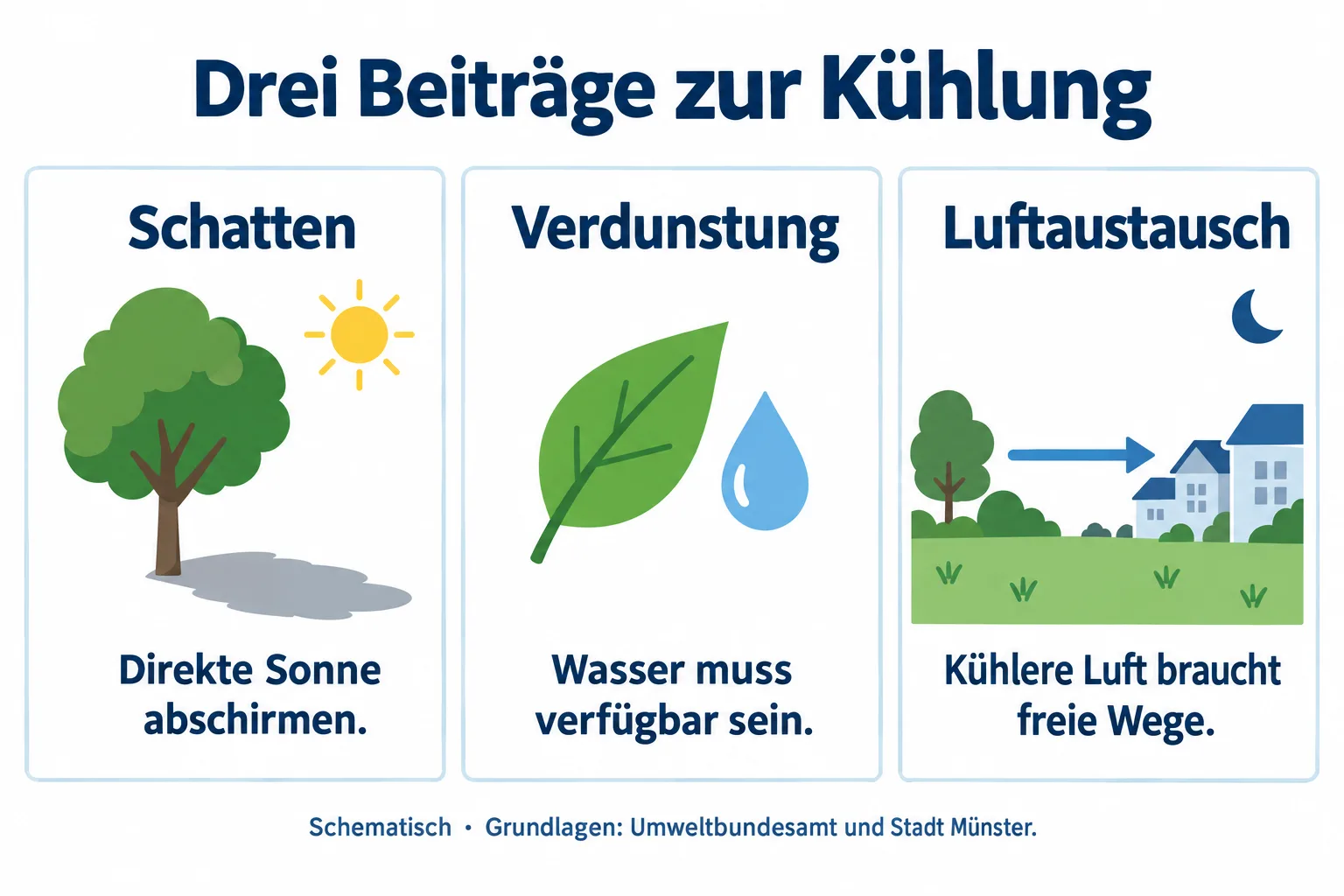 Drei Karten zeigen einen Baum mit Schatten, ein Blatt mit Wassertropfen und einen Luftweg von einer Grünfläche zu Häusern unter einem Mondsymbol.