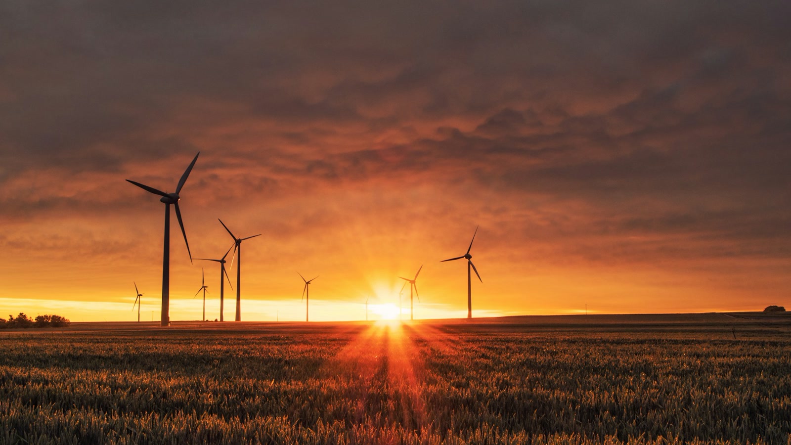 Landschaft mit Windenergieanlagen und Freileitungen unter bewölktem Himmel