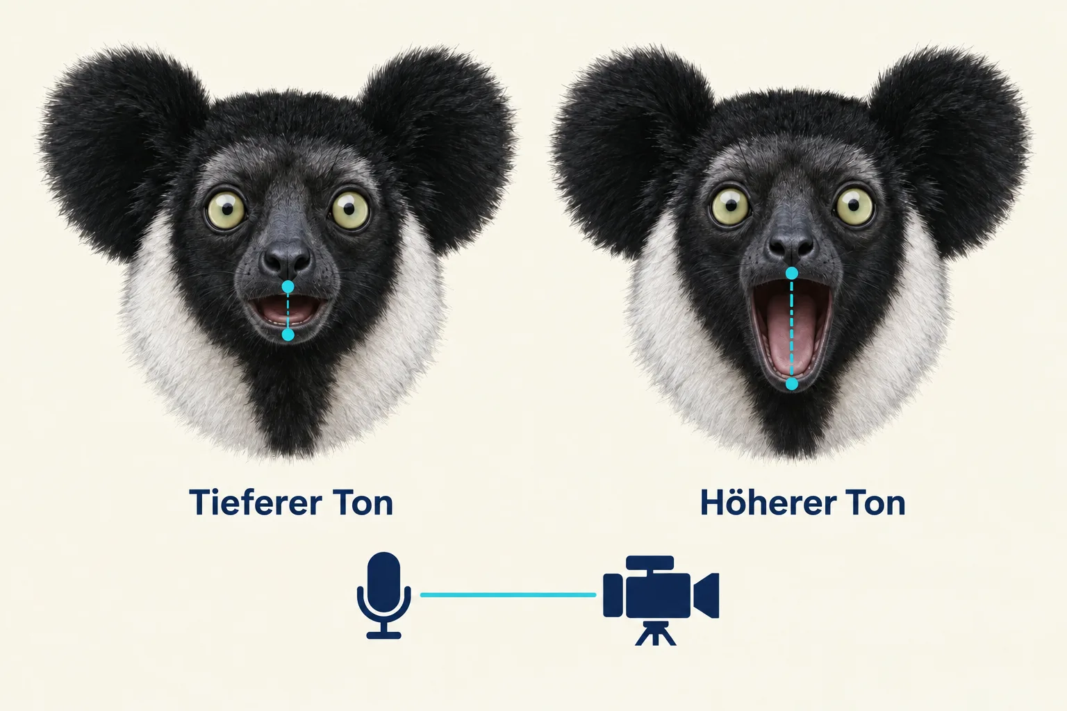 Schematische Indri-Köpfe mit unterschiedlich geöffnetem Mund und Markierungen an den Lippen; Kamera und Mikrofon stehen für die gemeinsame Auswertung von Bild und Ton.