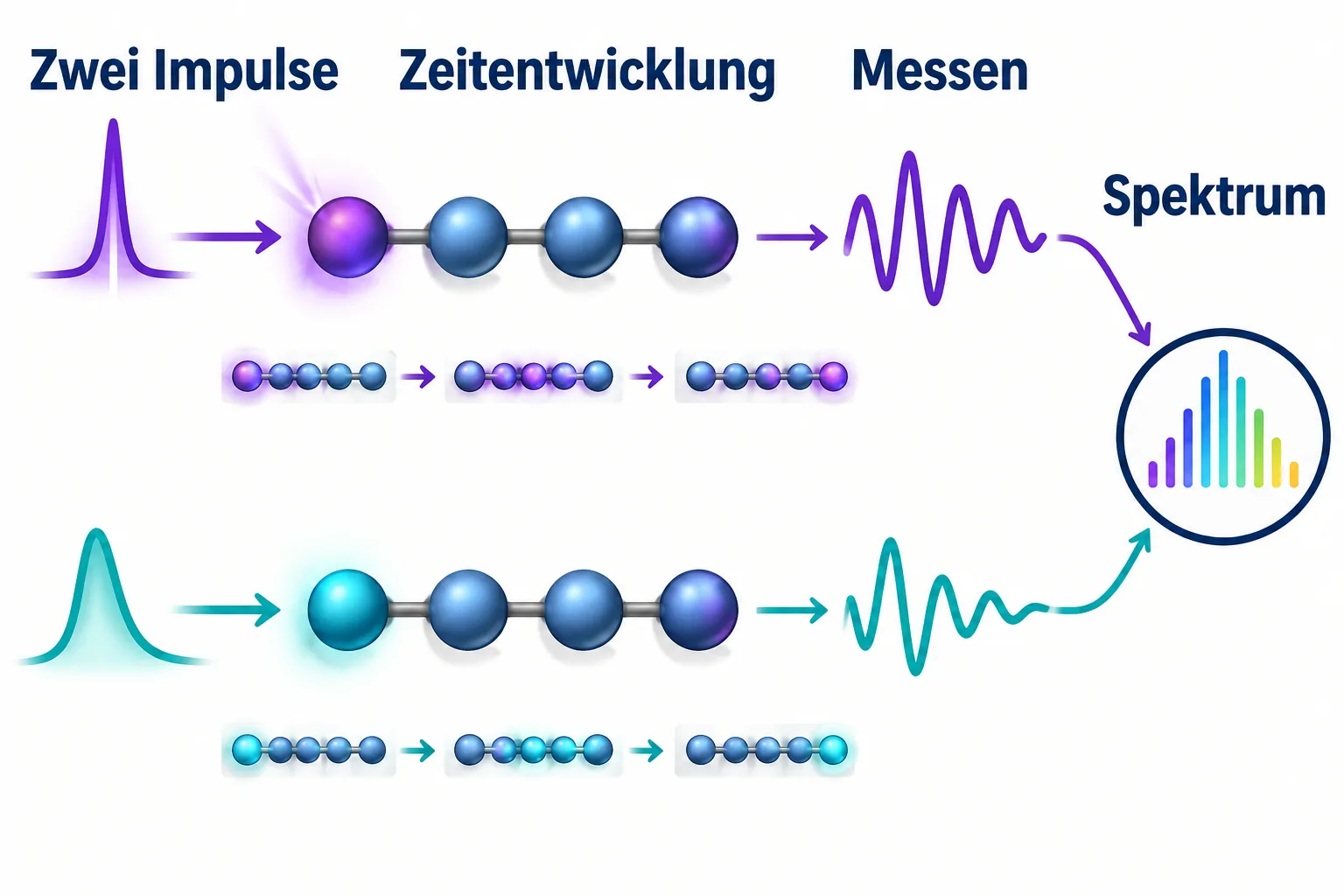 Zwei getrennte Impuls- und Messserien am gleichen schematischen Quantensystem führen zur gemeinsamen Spektrumauswertung.
