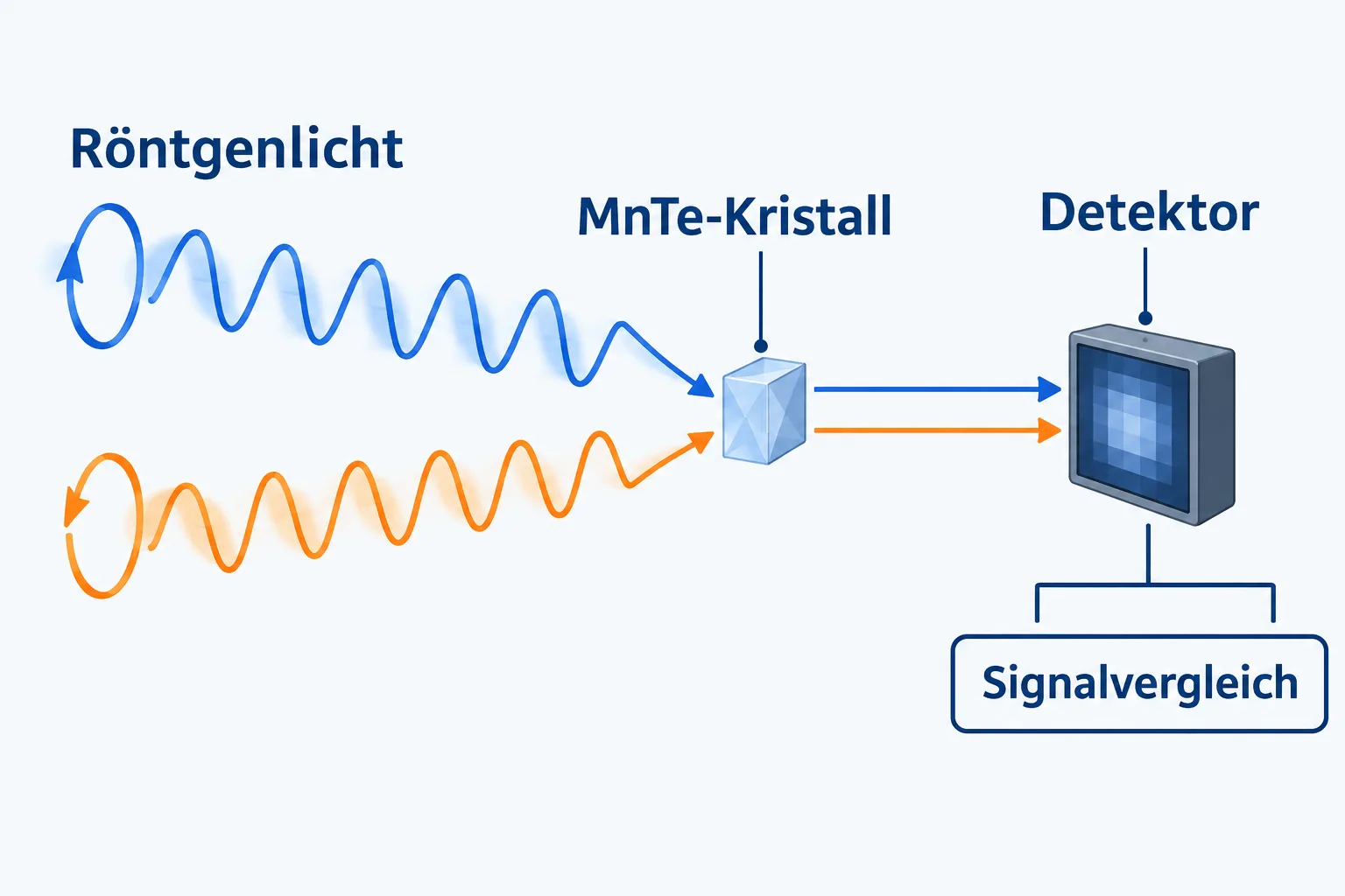 Schematischer Vergleich zweier polarisierter Röntgenstrahlen an einem Mangantellurid-Kristall und einem Detektor