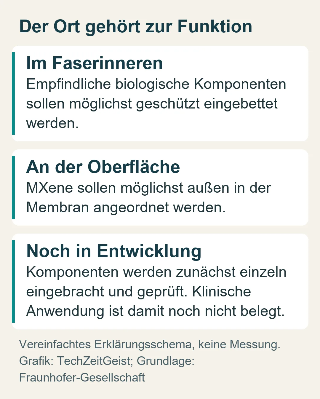 Der Ort gehört zur Funktion: Im Faserinneren; An der Oberfläche; Noch in Entwicklung.